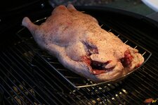 8-gans-in-grill-jpg.jpg