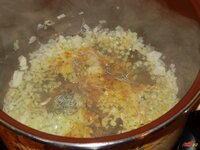 02_Currypulver_und_Currykraut.jpg 02_Currypulver_und_Currykraut.jpg