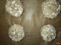 IMG_20201204_100325759.jpg