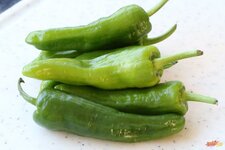 1-jalapenos-jpg.jpg