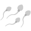 :sperm